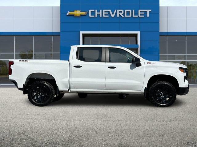 2024 Chevrolet Silverado 1500 Vehicle Photo in RIVERSIDE, CA 92504-4106