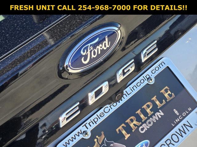 2021 Ford Edge Vehicle Photo in STEPHENVILLE, TX 76401-3713