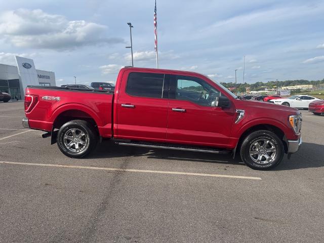 2021 Ford F-150 Vehicle Photo in Jackson, OH 45640-9766