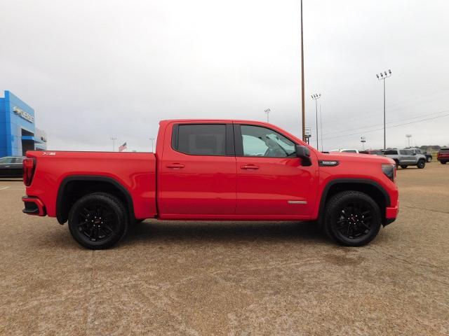 2025 GMC Sierra 1500 Vehicle Photo in GATESVILLE, TX 76528-2745