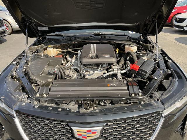 2020 Cadillac CT4 Vehicle Photo in WILLIAMSVILLE, NY 14221-4303