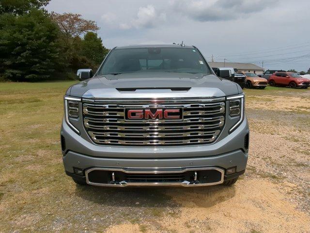 2025 GMC Sierra 1500 Vehicle Photo in ALBERTVILLE, AL 35950-0246