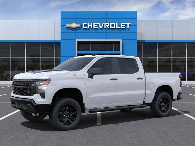 2025 Chevrolet Silverado 1500 Vehicle Photo in SAINT JAMES, NY 11780-3219