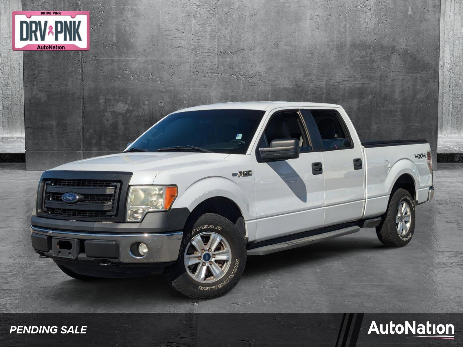 2014 Ford F-150 Vehicle Photo in St. Petersburg, FL 33713