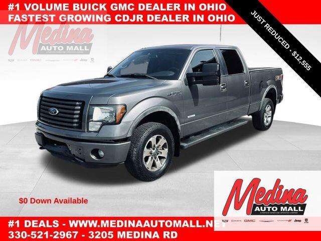 2011 Ford F-150 Vehicle Photo in MEDINA, OH 44256-9631