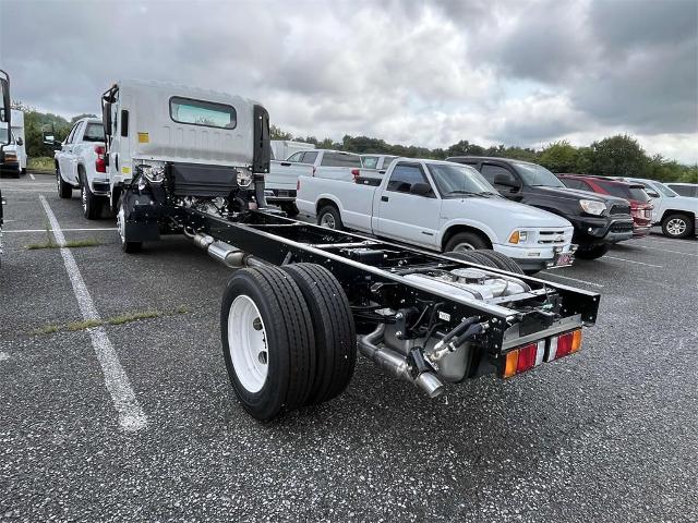 2025 Chevrolet Low Cab Forward 4500 Vehicle Photo in ALCOA, TN 37701-3235