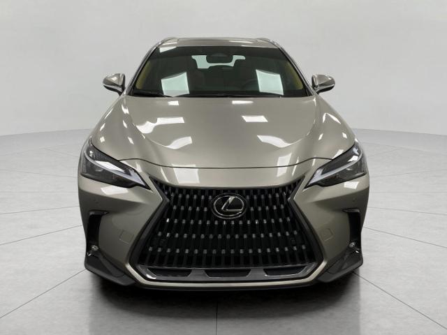 2022 Lexus NX 350 Vehicle Photo in Appleton, WI 54913