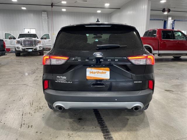 2022 Ford Escape Vehicle Photo in GLENWOOD, MN 56334-1123