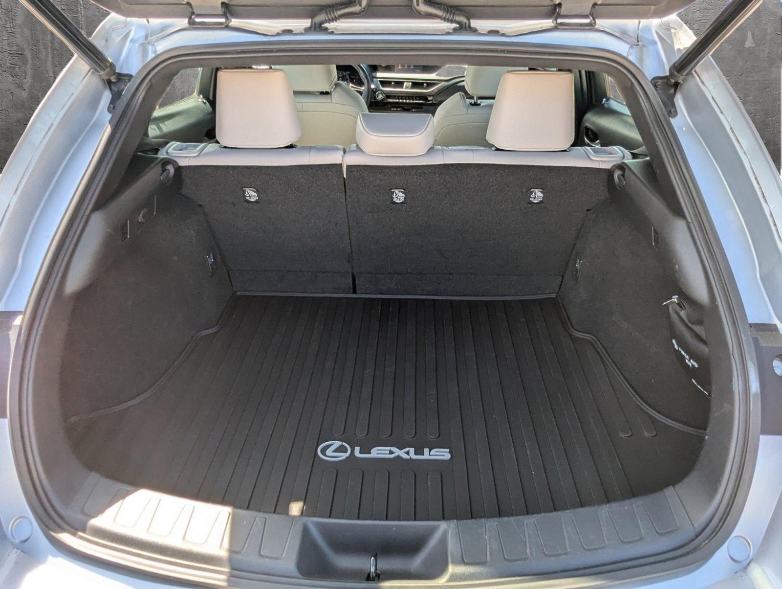 2019 Lexus UX 200 Vehicle Photo in Delray Beach, FL 33444