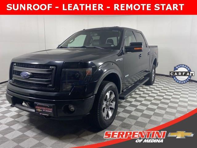 2013 Ford F-150 Vehicle Photo in MEDINA, OH 44256-9001