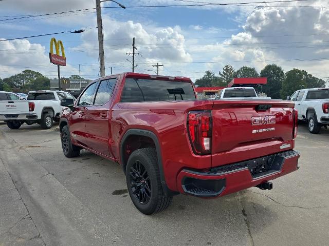 2024 GMC Sierra 1500 Vehicle Photo in LAFAYETTE, LA 70503-4541