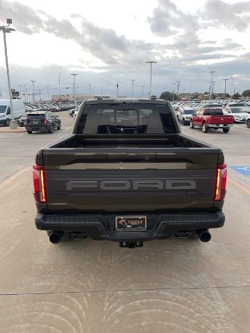 2024 Ford F-150 Vehicle Photo in STEPHENVILLE, TX 76401-3713