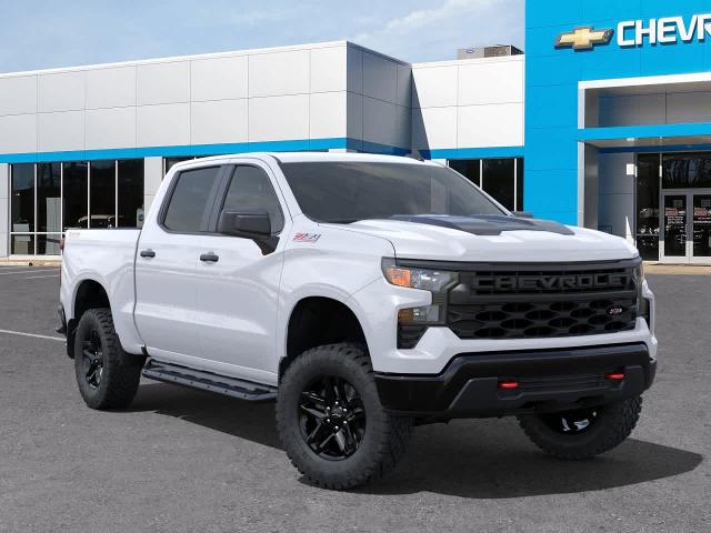 2024 Chevrolet Silverado 1500 Vehicle Photo in MOON TOWNSHIP, PA 15108-2571