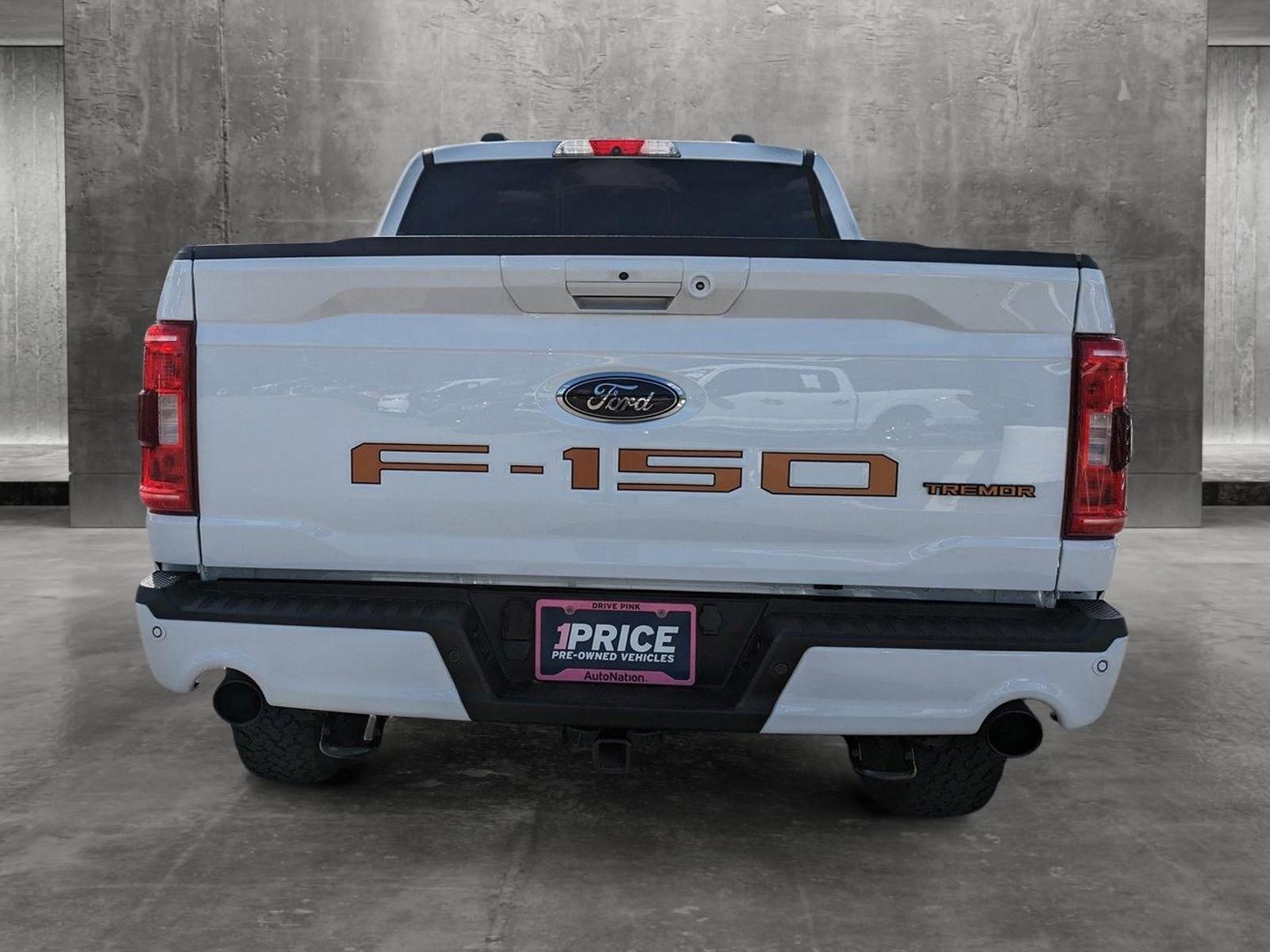 2022 Ford F-150 Vehicle Photo in Jacksonville, FL 32244