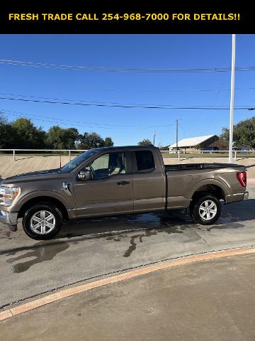 2022 Ford F-150 Vehicle Photo in STEPHENVILLE, TX 76401-3713