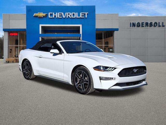 2019 Ford Mustang Vehicle Photo in PAWLING, NY 12564-3219