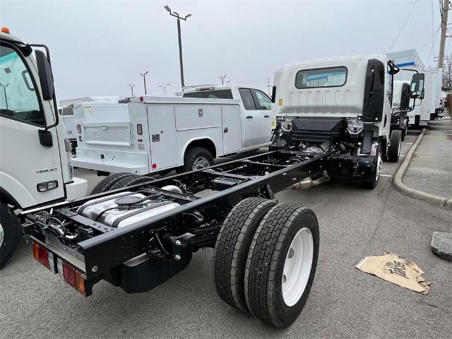 2024 Chevrolet 5500 HG LCF Gas Vehicle Photo in ALCOA, TN 37701-3235