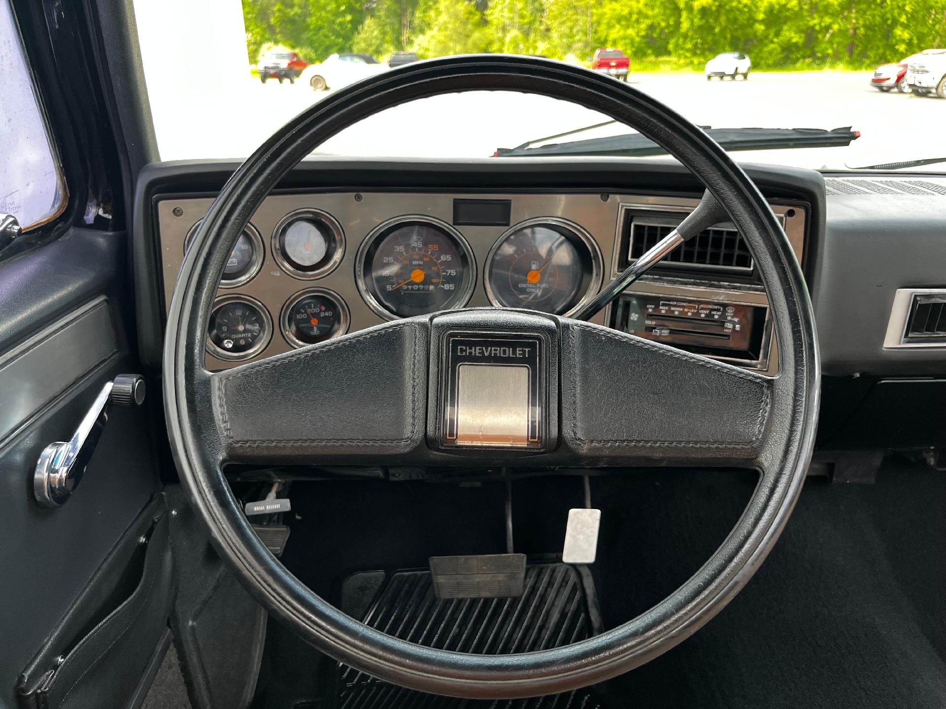 1984 Chevrolet Pickup Vehicle Photo in CLARE, MI 48617-9414