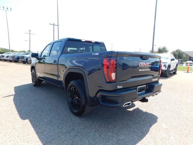 2025 GMC Sierra 1500 Vehicle Photo in GATESVILLE, TX 76528-2745