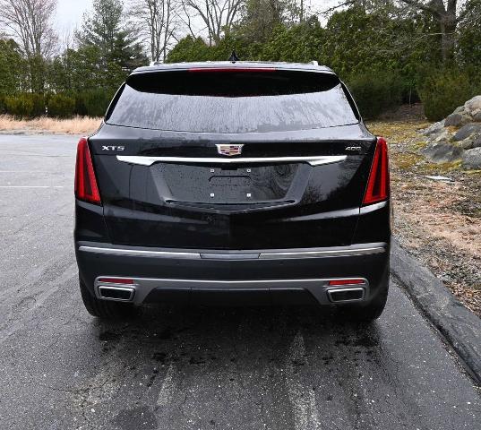 2024 Cadillac XT5 Vehicle Photo in NORWOOD, MA 02062-5222