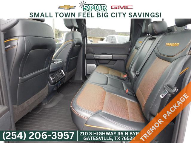 2023 Ford F-150 Vehicle Photo in GATESVILLE, TX 76528-2745