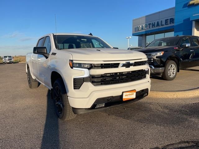 2025 Chevrolet Silverado 1500 Vehicle Photo in GLENWOOD, MN 56334-1123