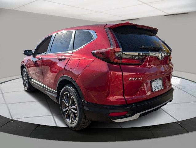 2022 Honda CR-V Vehicle Photo in Greeley, CO 80634-8763