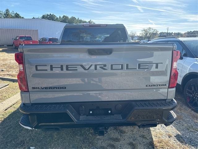 2025 Chevrolet Silverado 1500 Vehicle Photo in SEAFORD, DE 19973-8463