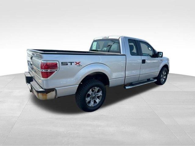 2013 Ford F-150 Vehicle Photo in MEDINA, OH 44256-9631