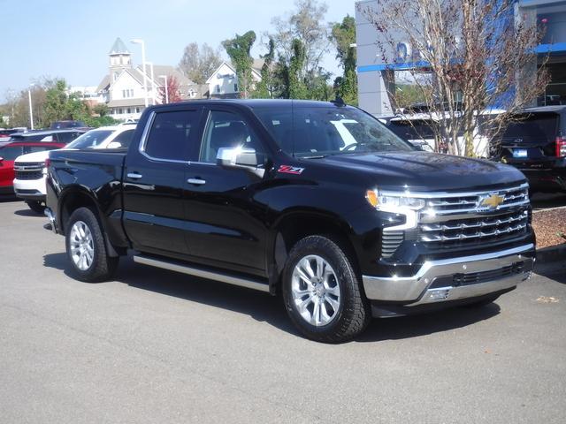 2025 Chevrolet Silverado 1500 Vehicle Photo in JASPER, GA 30143-8655