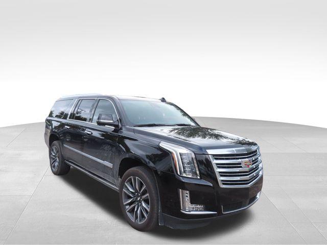 2020 Cadillac Escalade ESV Vehicle Photo in DELRAY BEACH, FL 33483-3294