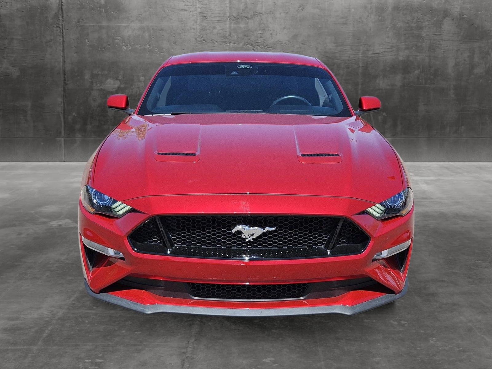 2021 Ford Mustang Vehicle Photo in Clearwater, FL 33765