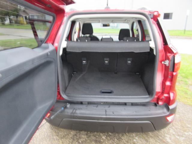 2021 Ford EcoSport Vehicle Photo in ELYRIA, OH 44035-6349