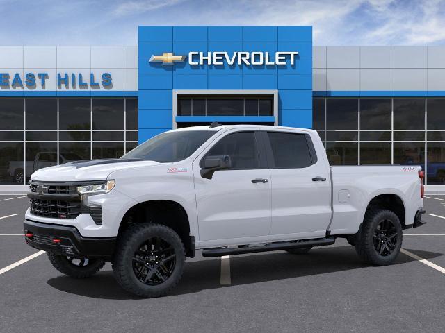 2024 Chevrolet Silverado 1500 Vehicle Photo in FREEPORT, NY 11520-3923