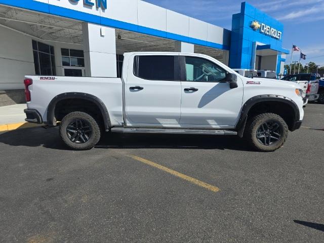 2023 Chevrolet Silverado 1500 Vehicle Photo in POST FALLS, ID 83854-5365