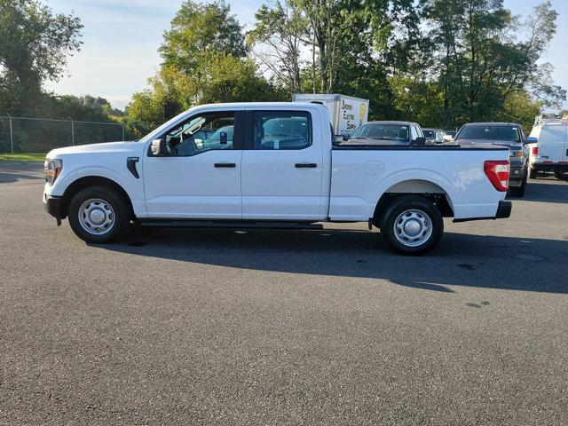 2023 Ford F-150 Vehicle Photo in Boyertown, PA 19512