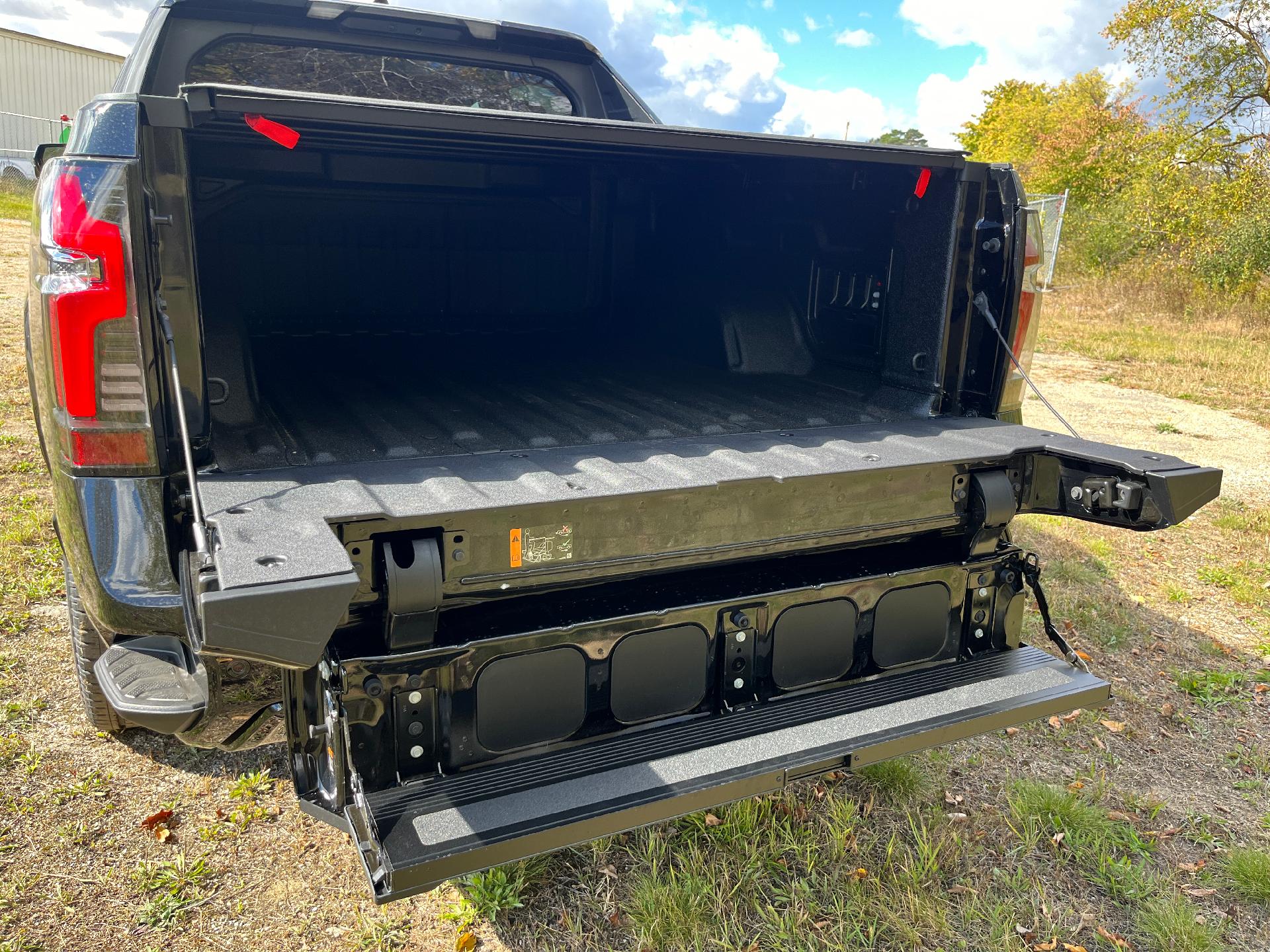 2024 Chevrolet Silverado EV Vehicle Photo in CLARE, MI 48617-9414