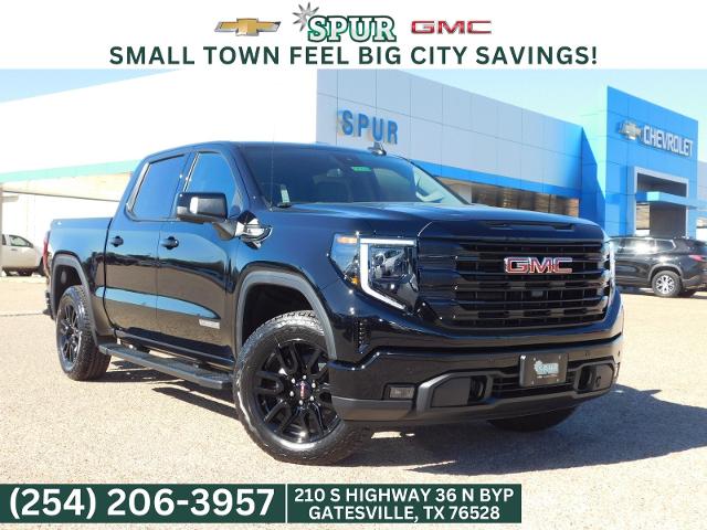 2025 GMC Sierra 1500 Vehicle Photo in GATESVILLE, TX 76528-2745