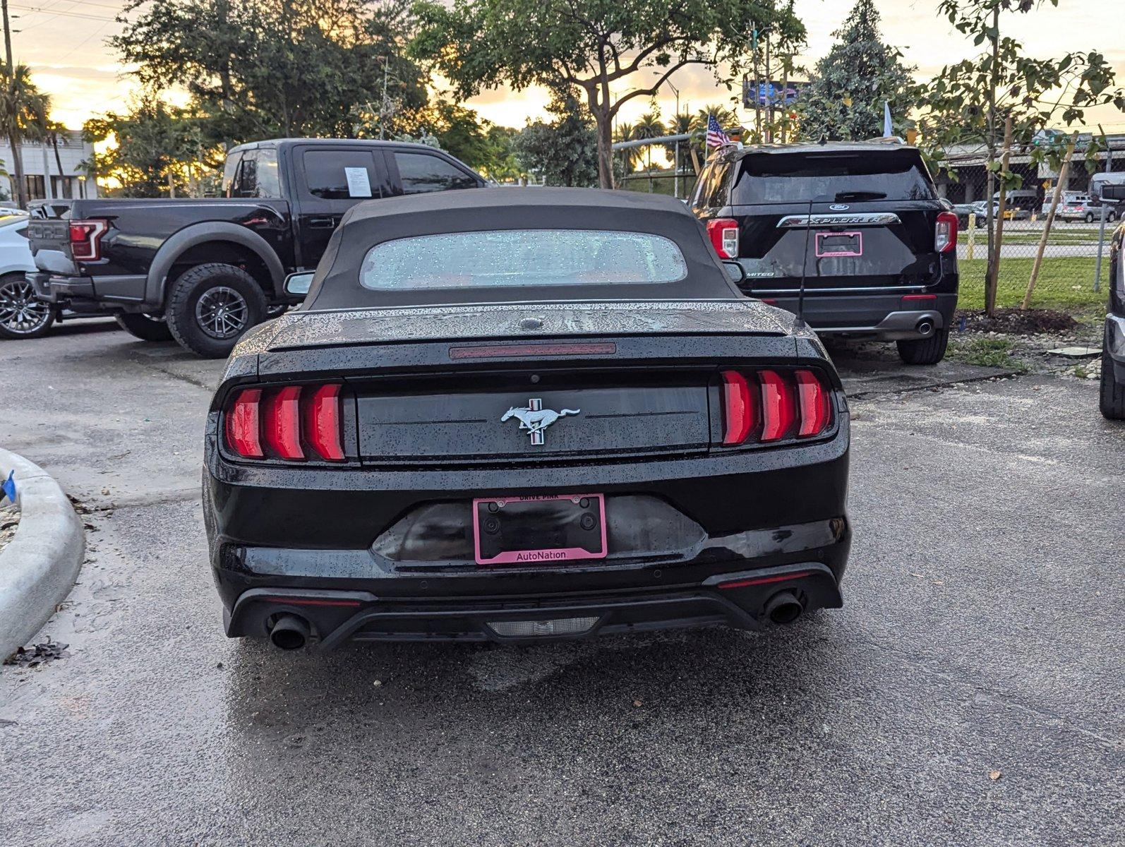 2019 Ford Mustang Vehicle Photo in Miami, FL 33015