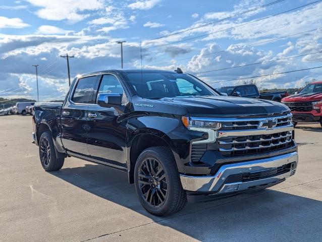 2024 Chevrolet Silverado 1500 Vehicle Photo in POMEROY, OH 45769-1023