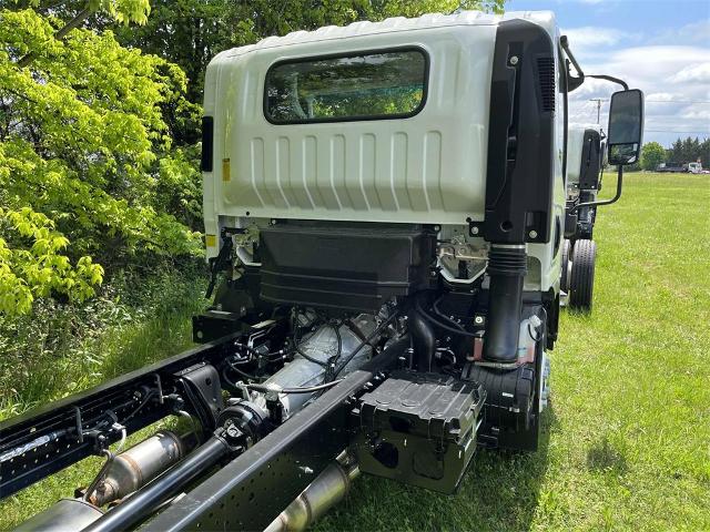 2024 Chevrolet Low Cab Forward 4500 Vehicle Photo in ALCOA, TN 37701-3235