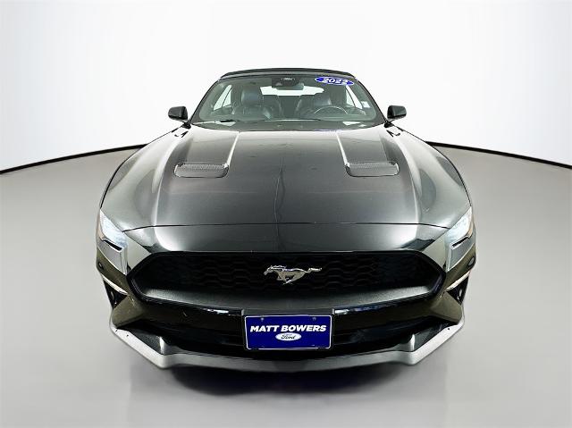 Used 2022 Ford Mustang EcoBoost Premium with VIN 1FATP8UH6N5118691 for sale in Slidell, LA