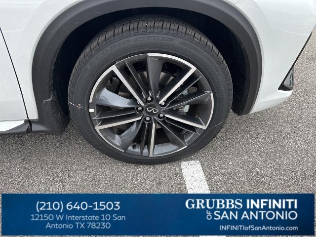 2024 INFINITI QX50 Vehicle Photo in San Antonio, TX 78230