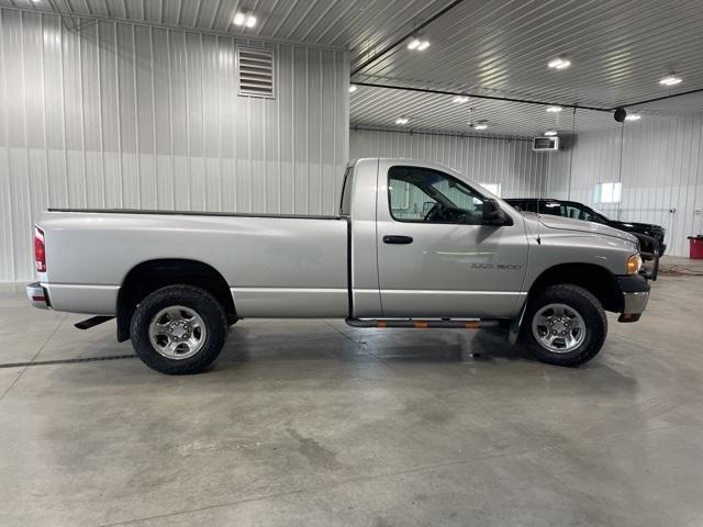 2002 Dodge Ram 1500 Vehicle Photo in GLENWOOD, MN 56334-1123