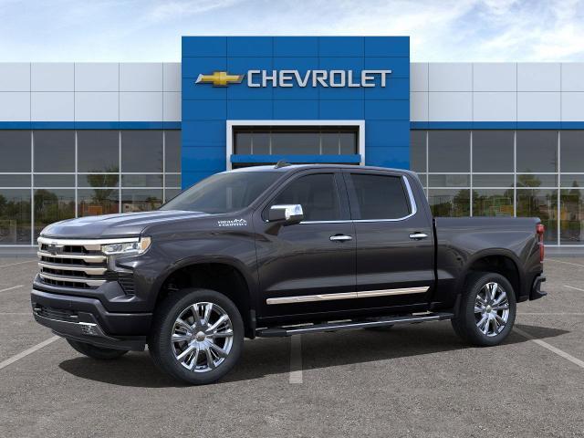 2024 Chevrolet Silverado 1500 Vehicle Photo in HOUSTON, TX 77034-5009