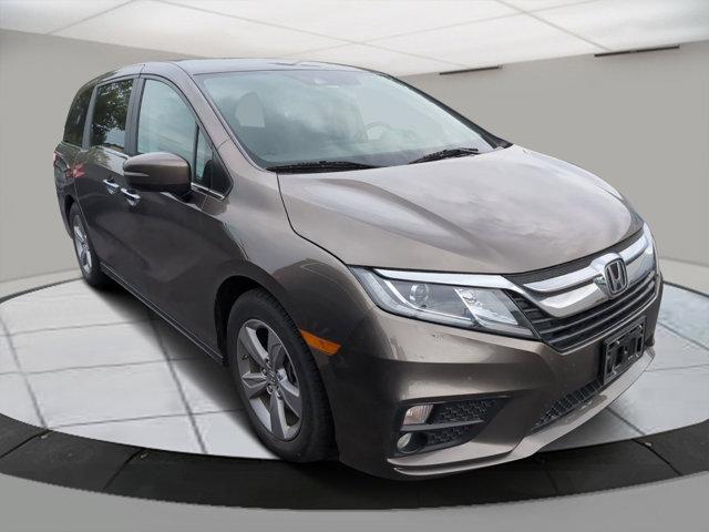 2020 Honda Odyssey Vehicle Photo in Greeley, CO 80634-8763