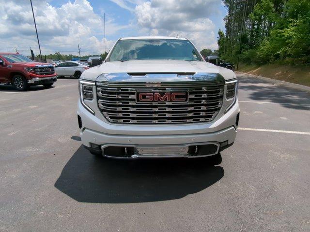 2024 GMC Sierra 1500 Vehicle Photo in ALBERTVILLE, AL 35950-0246