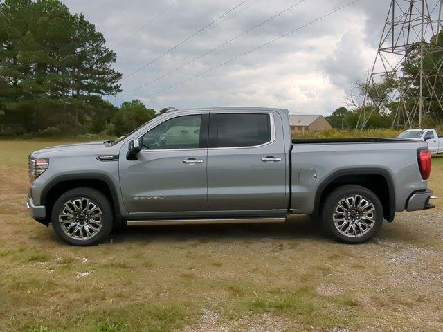 2025 GMC Sierra 1500 Vehicle Photo in ALBERTVILLE, AL 35950-0246