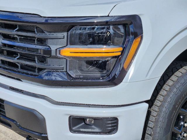 2024 Ford F-150 Vehicle Photo in Pilot Point, TX 76258