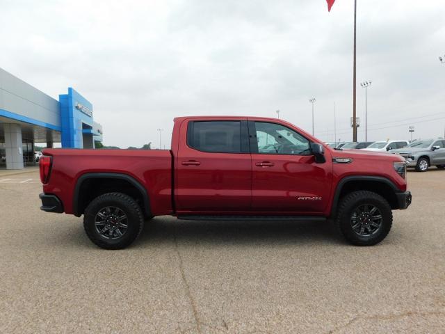 2024 GMC Sierra 1500 Vehicle Photo in GATESVILLE, TX 76528-2745